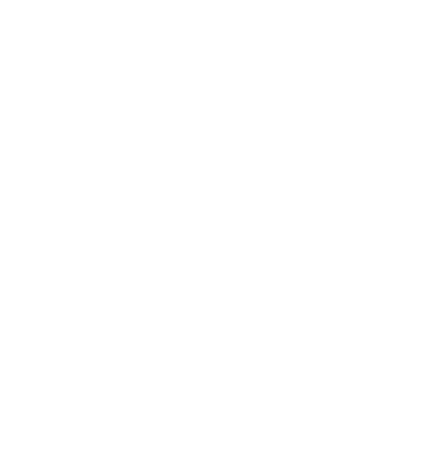 Payload Logo